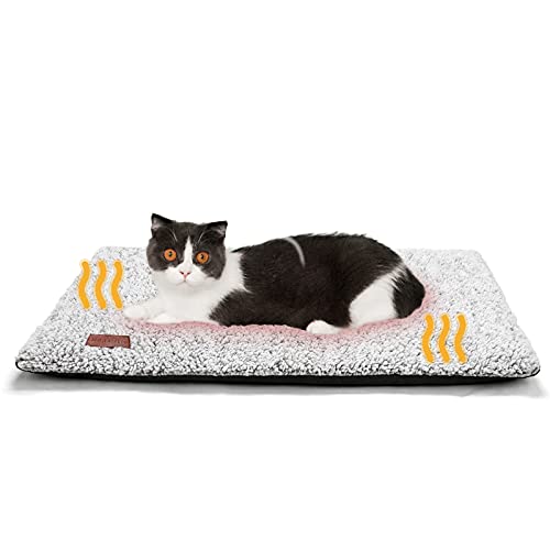 Heated Pet Beds for Winter