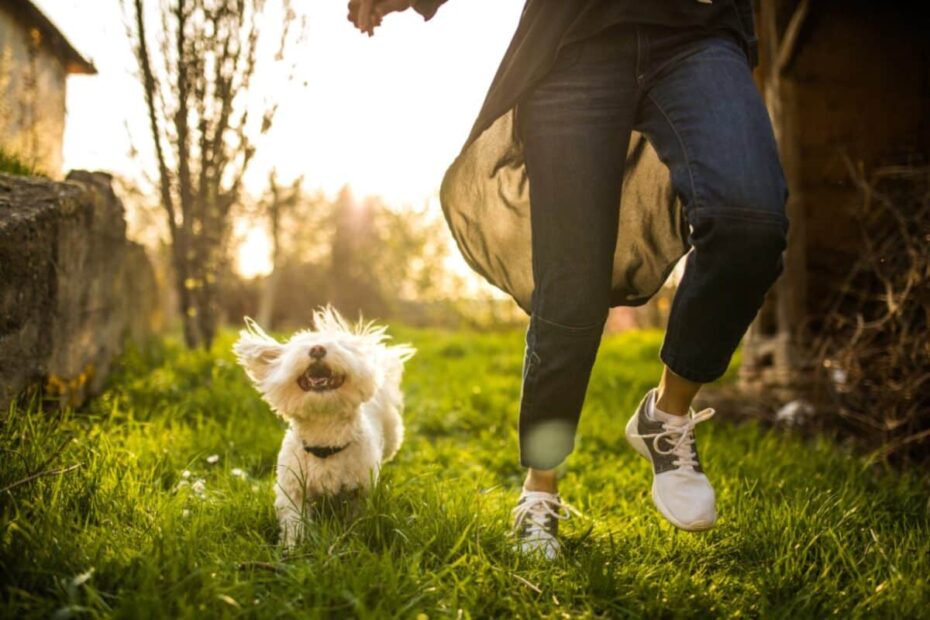 Living With Reptile Allergies: Tips for Pet Owners