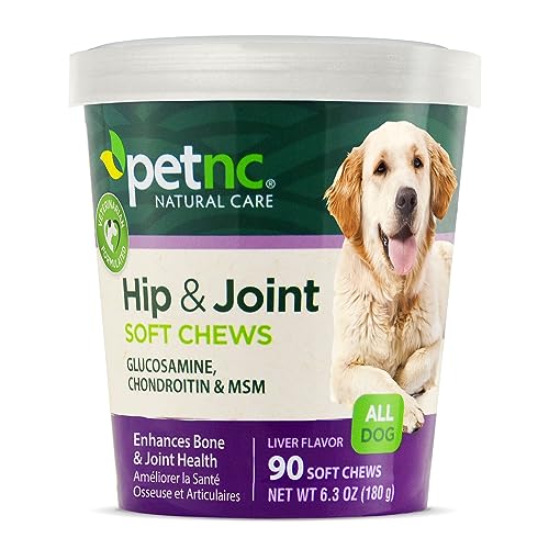 Managing Pet Arthritis Naturally