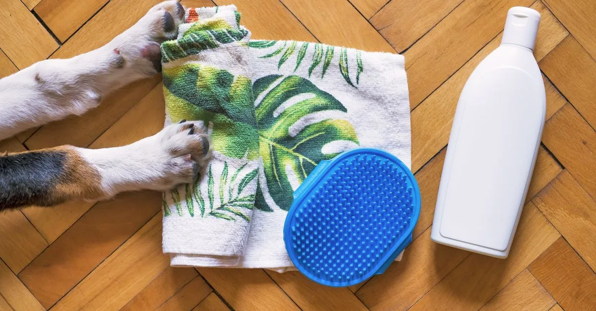 Pet Grooming Products