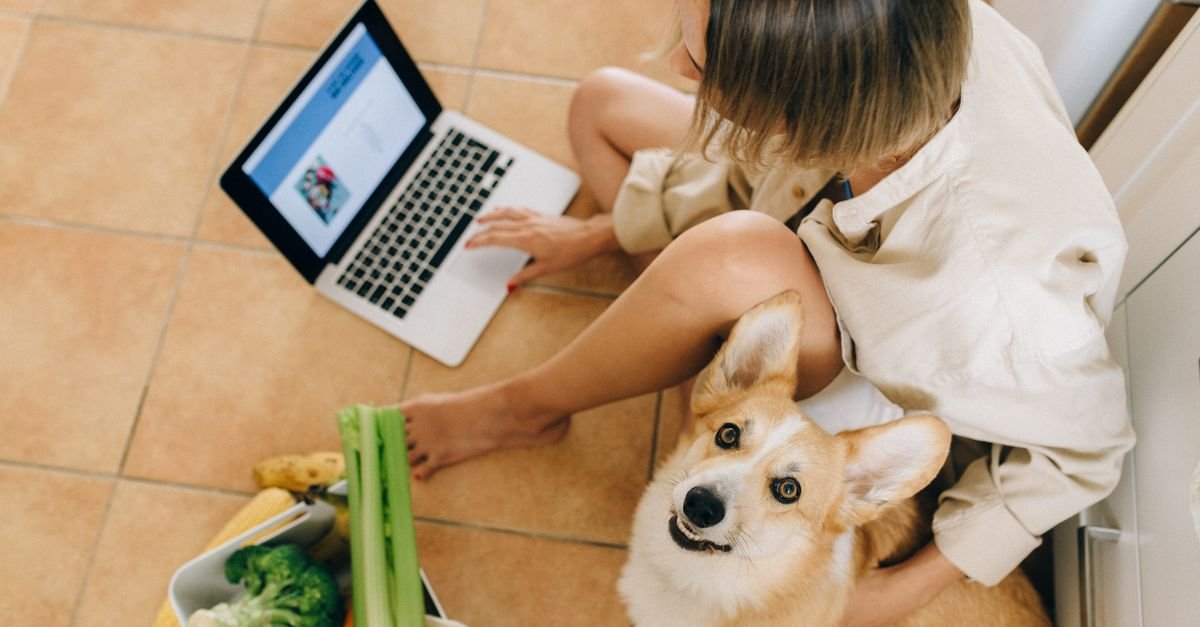 Pet Supplies Online