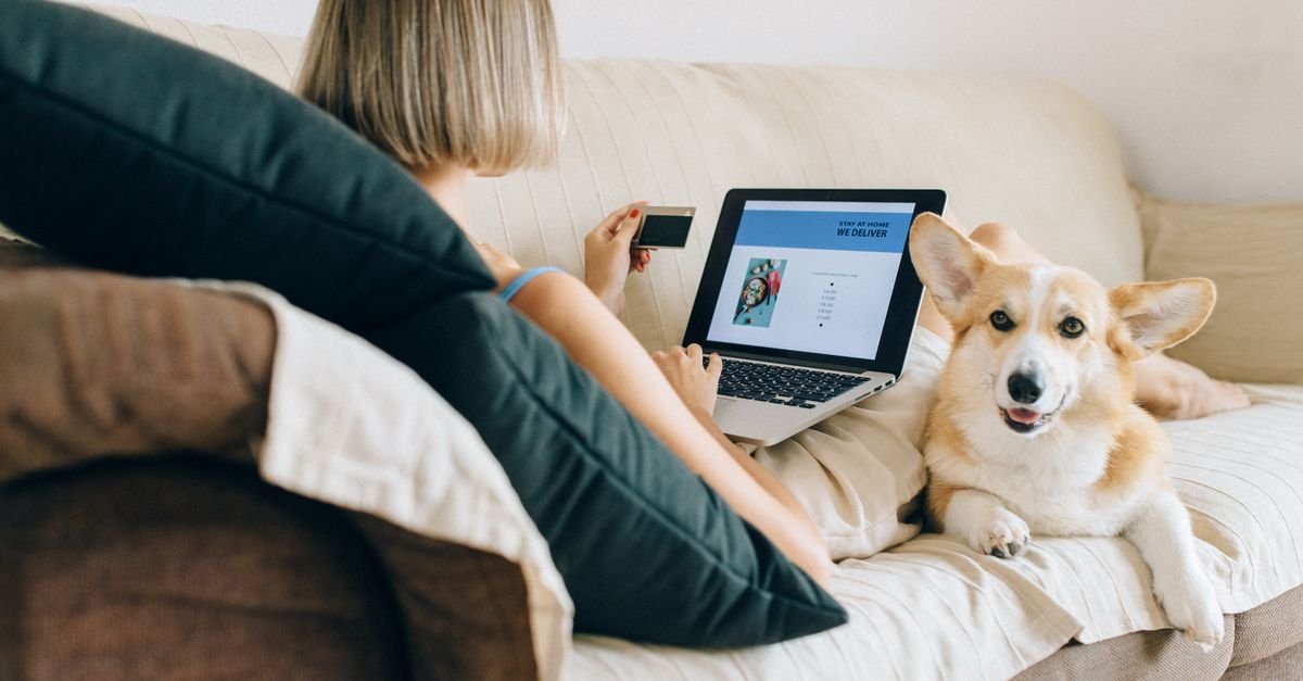 Pet Supplies Online