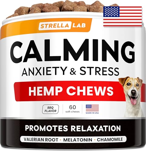 Anxiety Relief for Dogs
