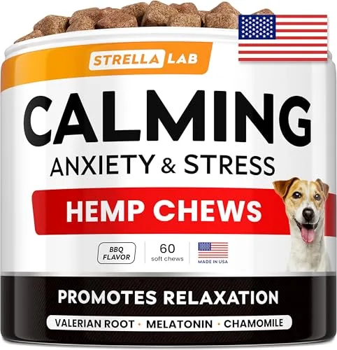 Anxiety Relief for Dogs