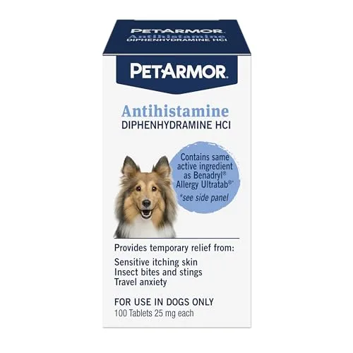 Best Dog Allergy Medicine