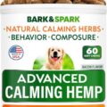 Cbd for Pets: Anxiety Relief