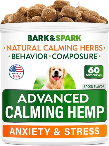 Cbd for Pets: Anxiety Relief