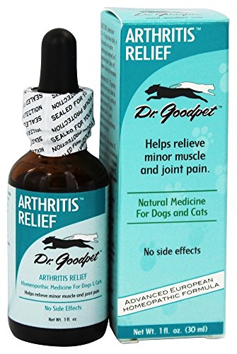 Managing Pet Arthritis Naturally