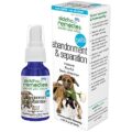 Natural Remedies for Pets: Ultimate Guide