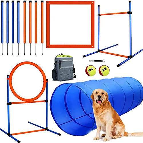 Best Dog Agility Sets for Backyard Training