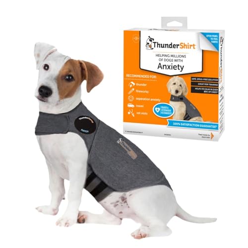 Best Dog Anxiety Vest