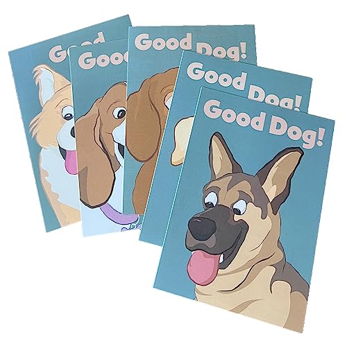 Best Dog Boarding near Me