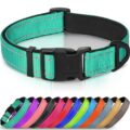 Best Dog Collars