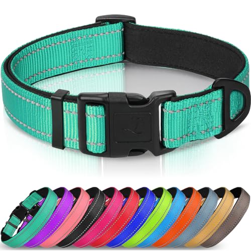 Best Dog Collars