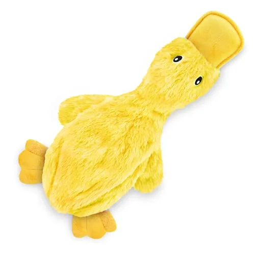 Best Dog Toys