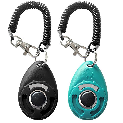 Best Dog Training Clickers to Reinforce Good Behavior