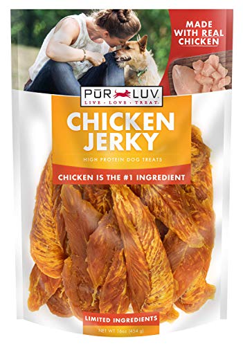 Best Dog Treats