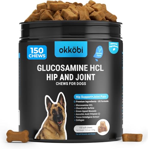 Best Joint Supplements for Dogs