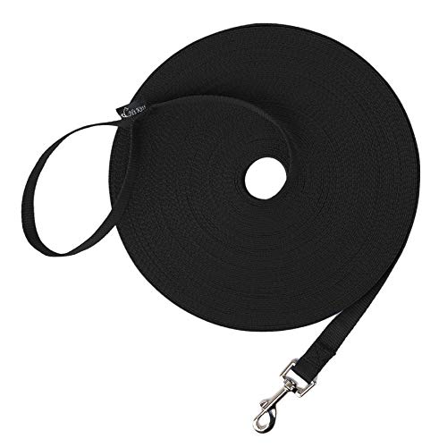 Best Long-Line Leashes for Recall And Off-Leash Training