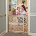 Best Pet Gate
