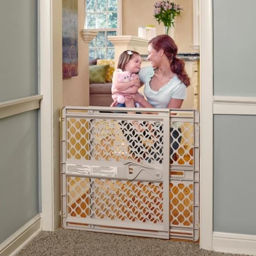 Best Pet Gate