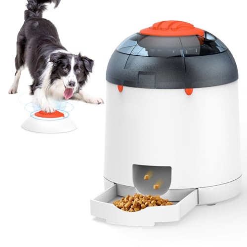 Best Treat Dispensers for Reward-Based Training