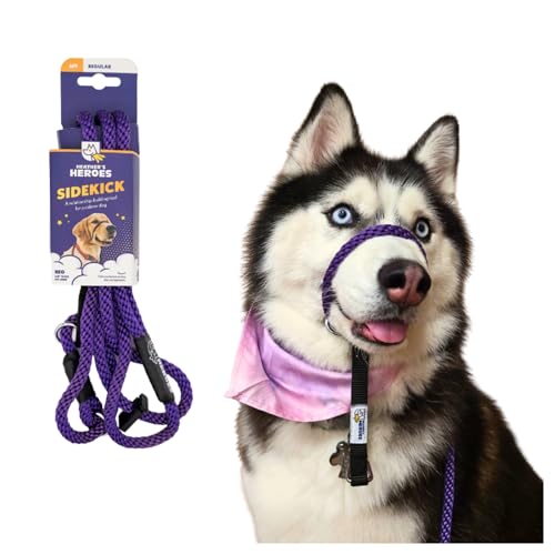 Dog Behavior Tools That Actually Work