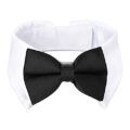 Dog Bow Tie