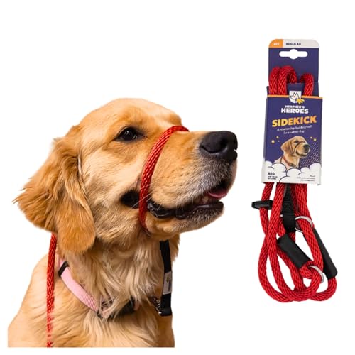 Dog Pulling on Walks? Try These Leash Training Tools
