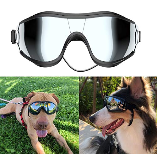 Dog Sunglasses
