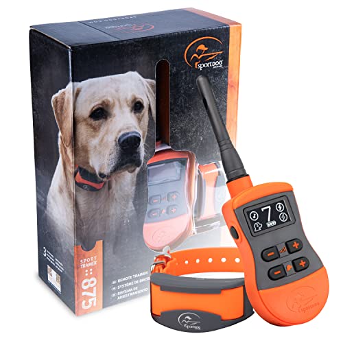 E-Collar Training: Pros