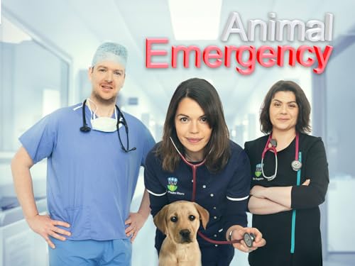 Emergency Vet near Me