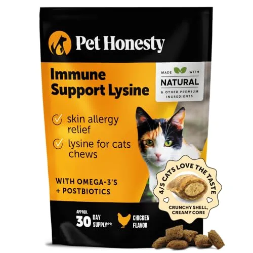 Immune Support Supplements for Cats