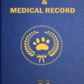 International Pet Travel Requirements