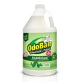 Odor‑Eliminating Floor Cleaner
