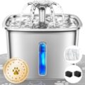 Pet Water Fountain