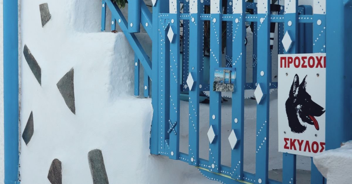 Dog Gate Stairs