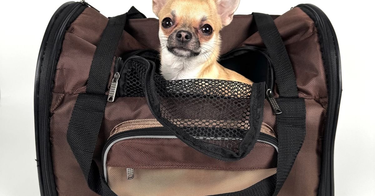 Pet Carrier
