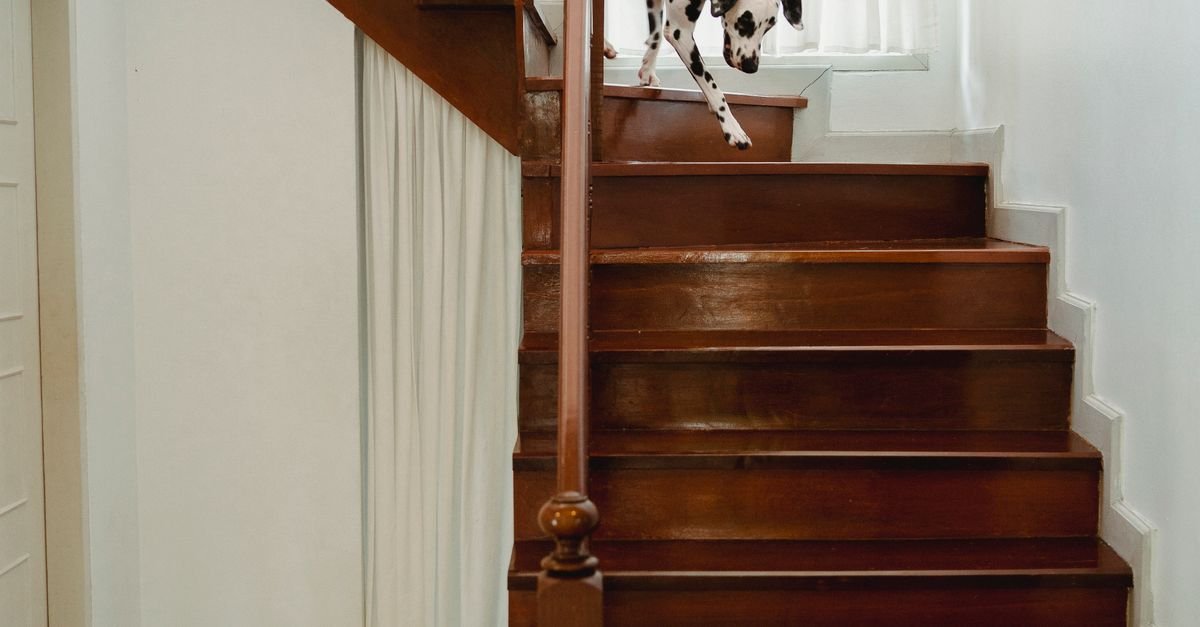 Dog Gate Stairs
