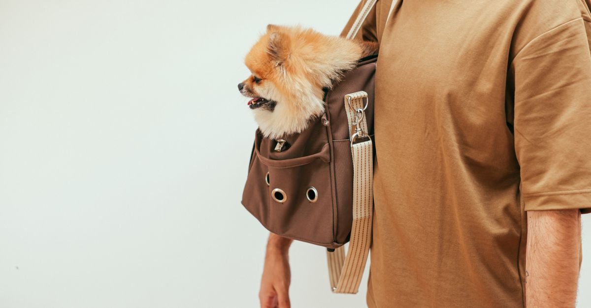 Pet Carrier