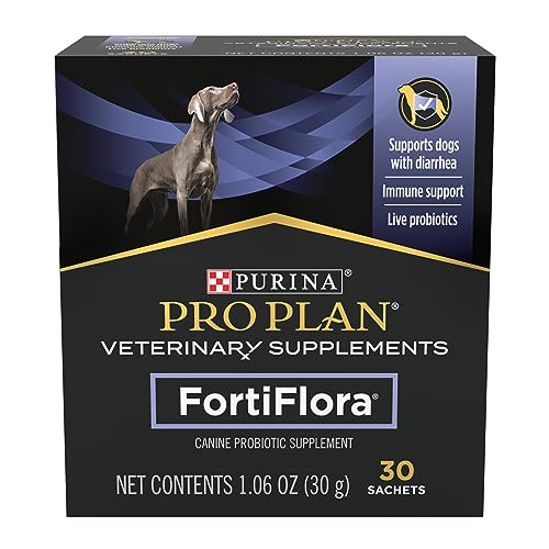 Probiotics for Dogs