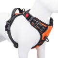 Reflective Dog Harness