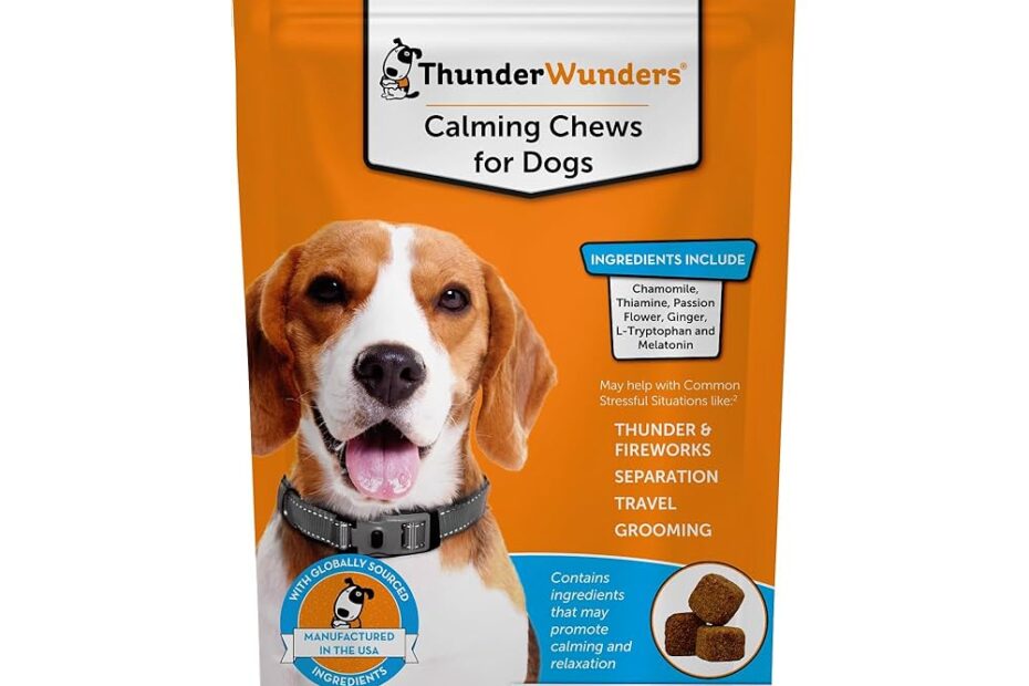 Tips for Calming Pets During Travel