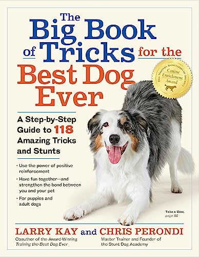 Top Dog Training Books Every Owner Should Read