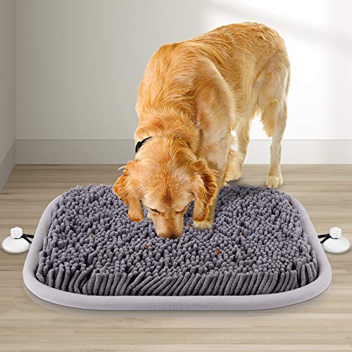 Top Snuffle Mats to Boost Your Dog’S Brain