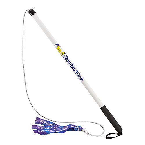 Why Every Dog Needs a Flirt Pole