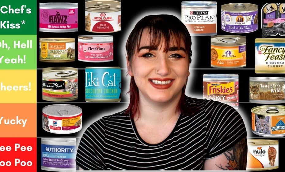 Best Canned Cat Food for Cats