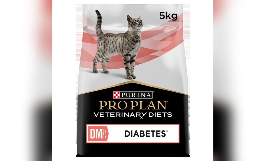 Best Cat Food for Diabetic Cats