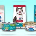 Best Cat Food for Indoor Cats