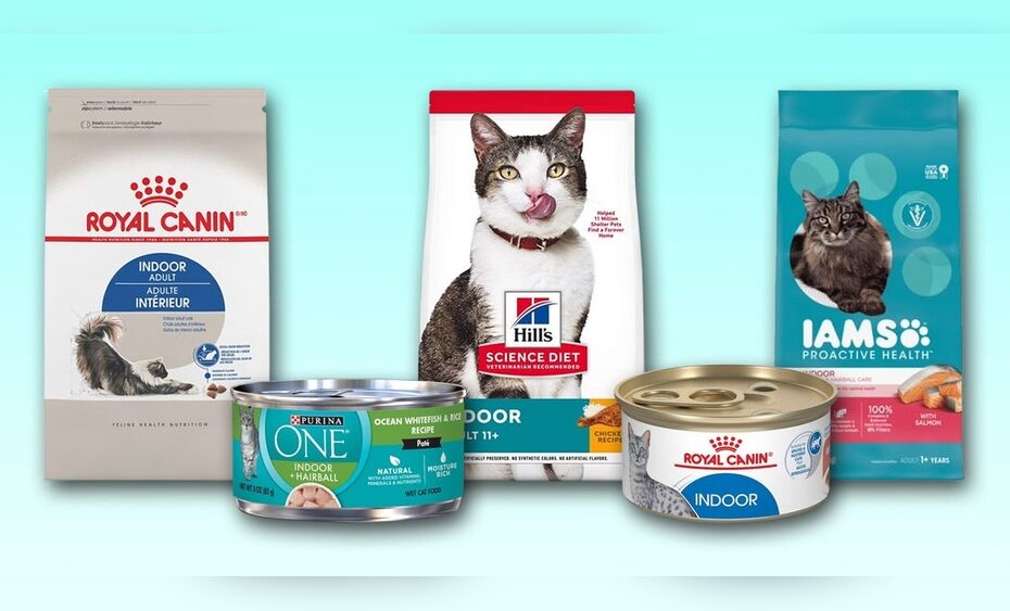 Best Cat Food for Indoor Cats